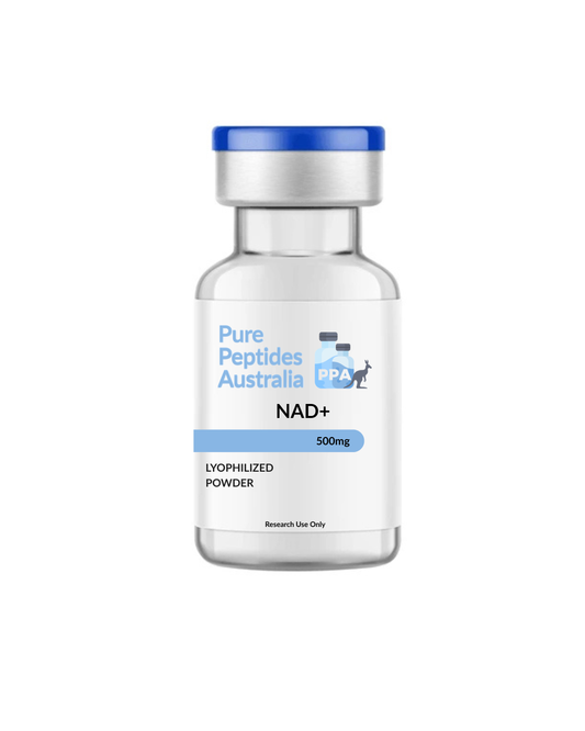 NAD+ 500mg research compound – high-purity COA-verified lyophilised vial for energy metabolism studies in Australia